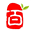 百兆王 - 稳定模式和高速模式：Socks5导出格式选择
